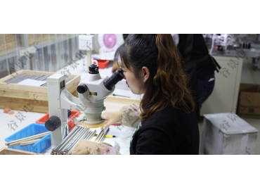 貼片共模電感方向如何區(qū)分你知道嗎？